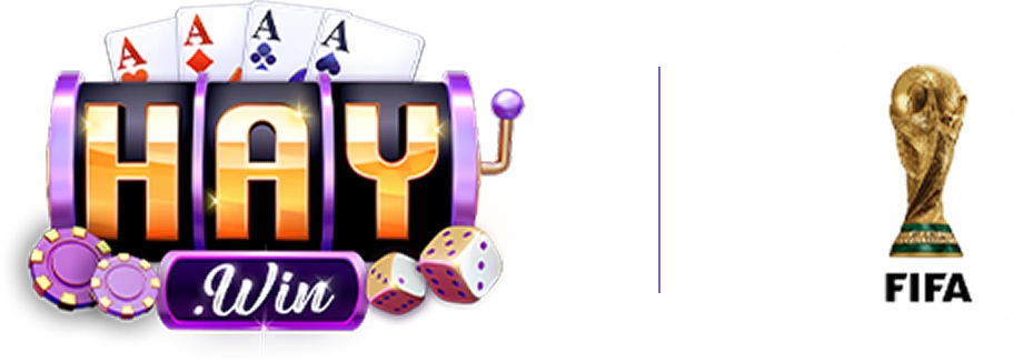 logo haywin